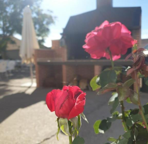 ペンション Hostal La Horra