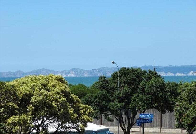 فندق صغير Napier Art House Backpackers
