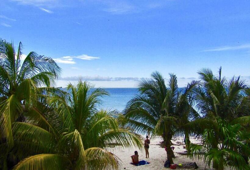 هتل La Puerta Azul Beachfront  Adults Only