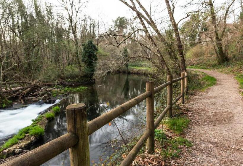 פנסיון Casa Néboa