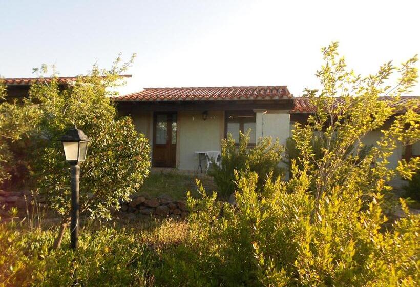 בית מלון כפרי Agriturismo Su Birde