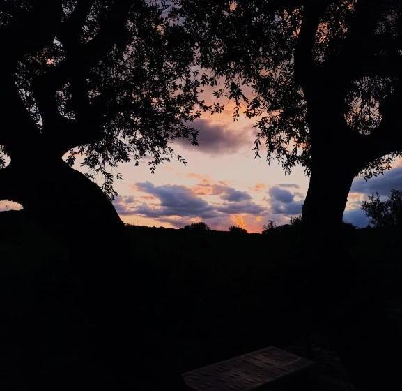 בית מלון כפרי Agriturismo Su Birde