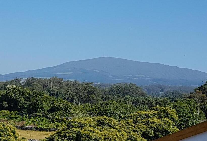 بنسيون Casa Marques