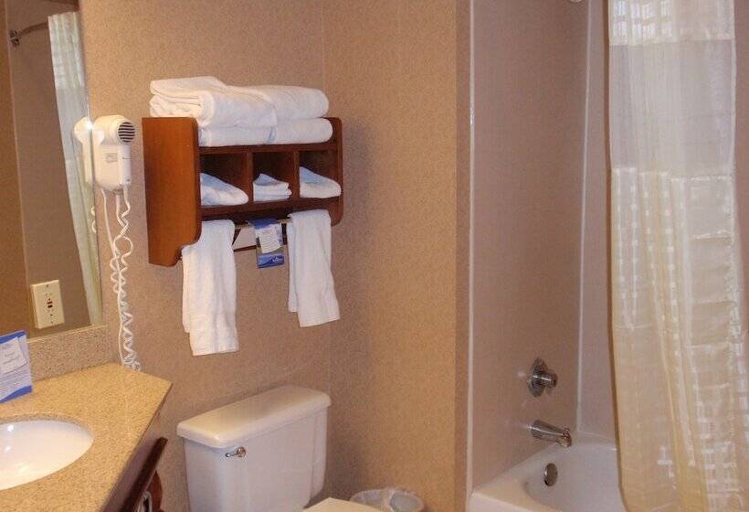 酒店 Baymont By Wyndham Lewisville