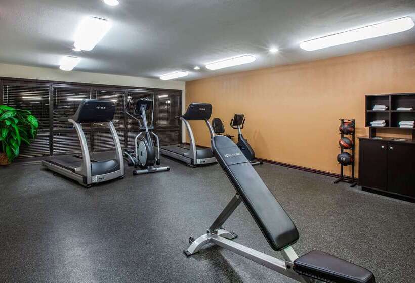 هتل Days Inn & Suites By Wyndham Tyler
