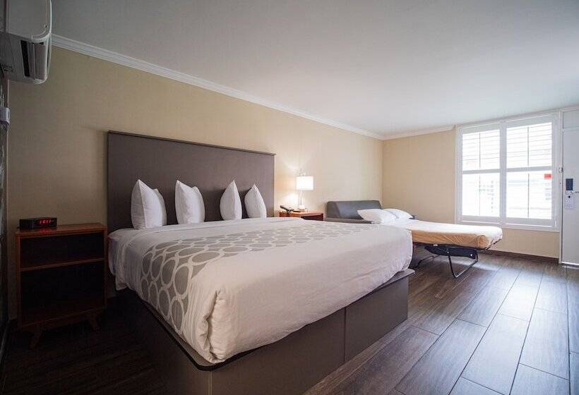 فندق Equus Inn I75