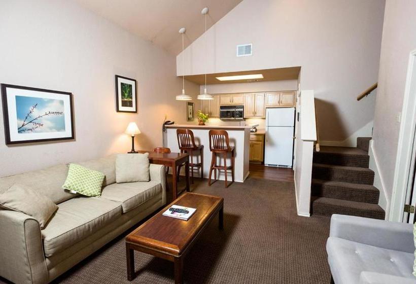 בית מלון כפרי Habitat Suites