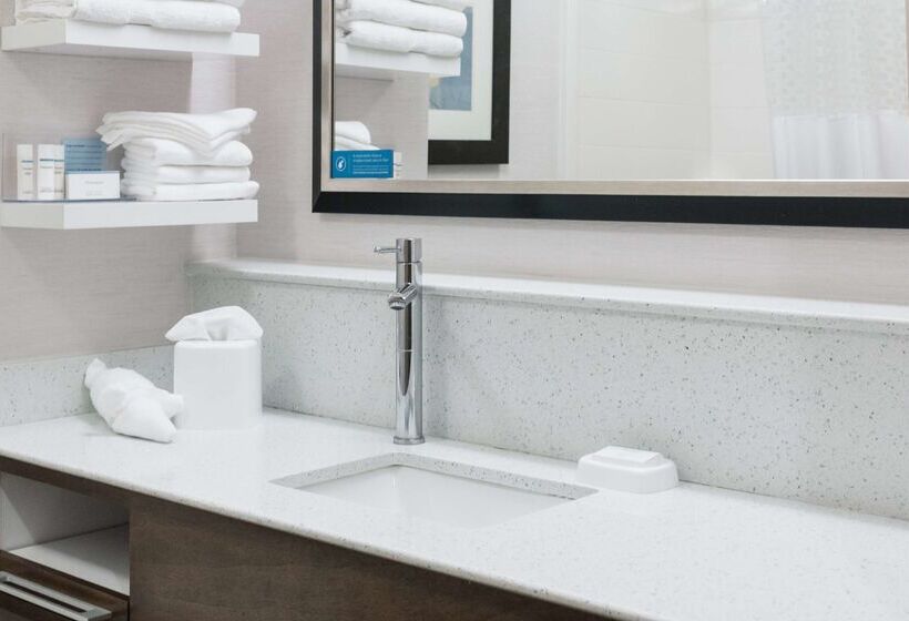 בית מלון כפרי Hampton Inn Brooksville Dade