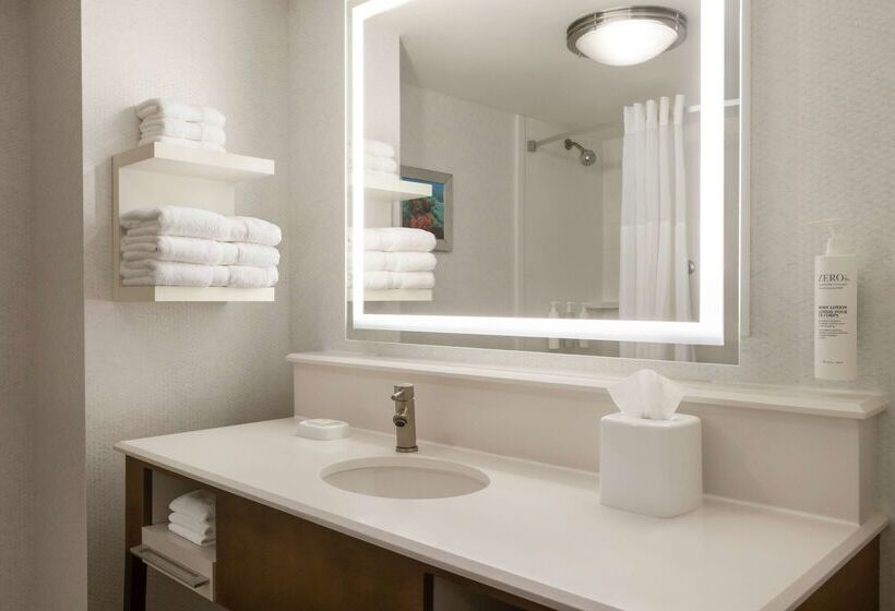בית מלון כפרי Hampton Inn Ft. Lauderdale West/pembroke Pines