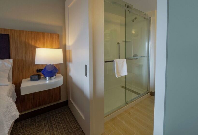 ホテル Hampton Inn Hazleton