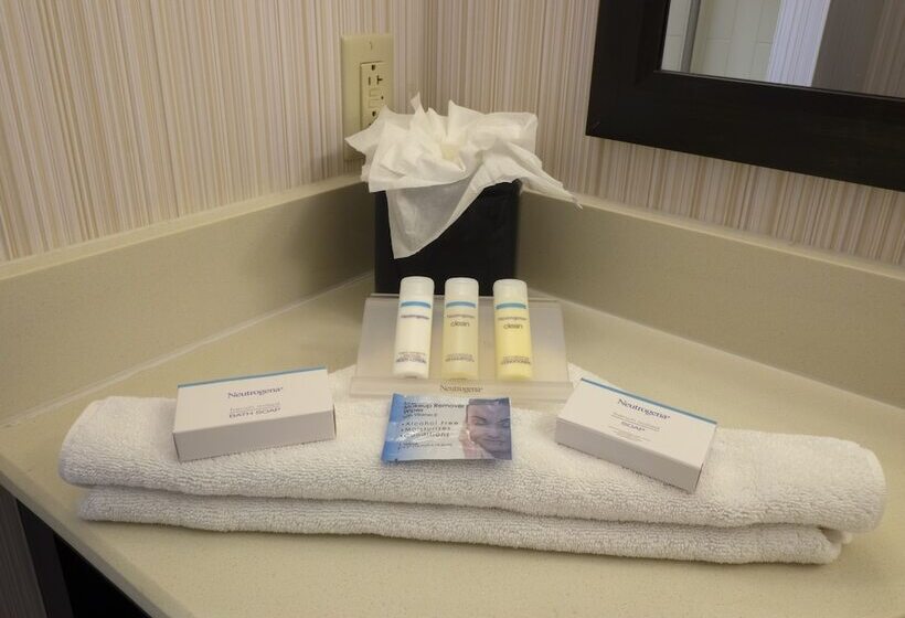 ホテル Hampton Inn Hazleton