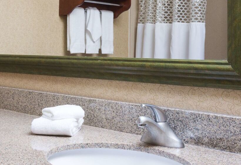 Отель Hampton Inn Houston/stafford