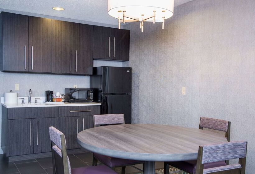 호텔 Hampton Inn Midland