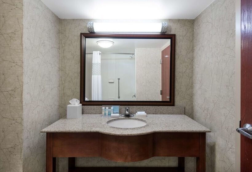 فندق Hampton Inn Roanoke/hollins  I81