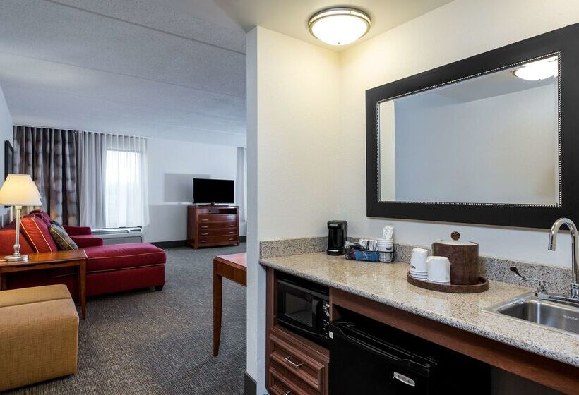 فندق Hampton Inn Roanoke/hollins  I81