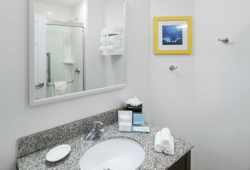 هتل Hampton Inn & Suites Atlantadowntown