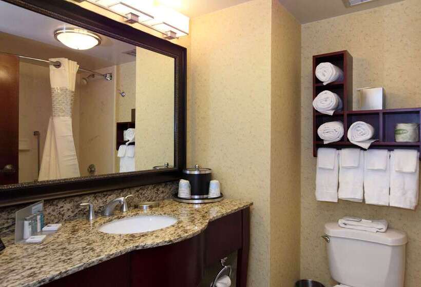 هتل Hampton Inn & Suites Charlottesvilleat The University