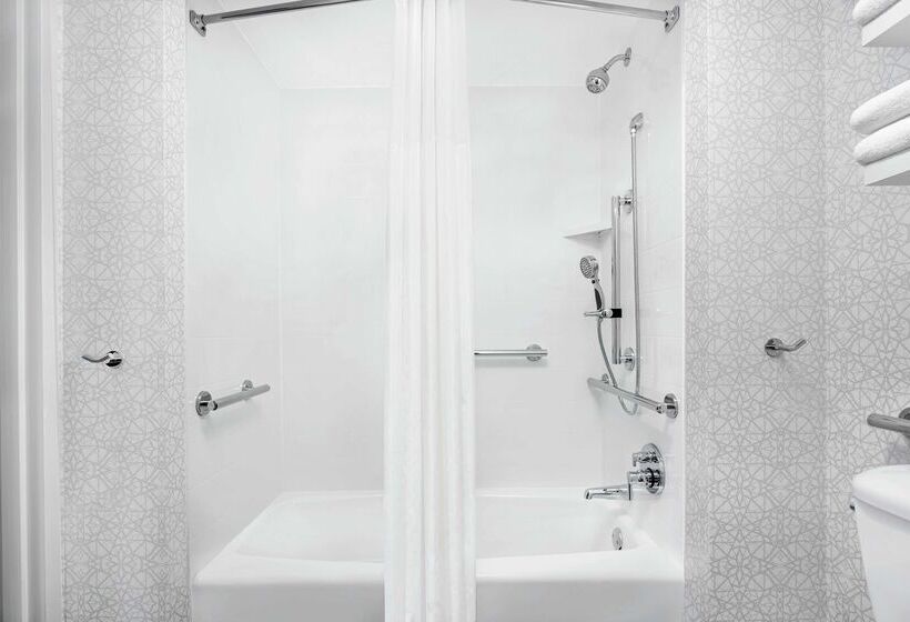 هتل Hampton Inn & Suites Chicagodowntown