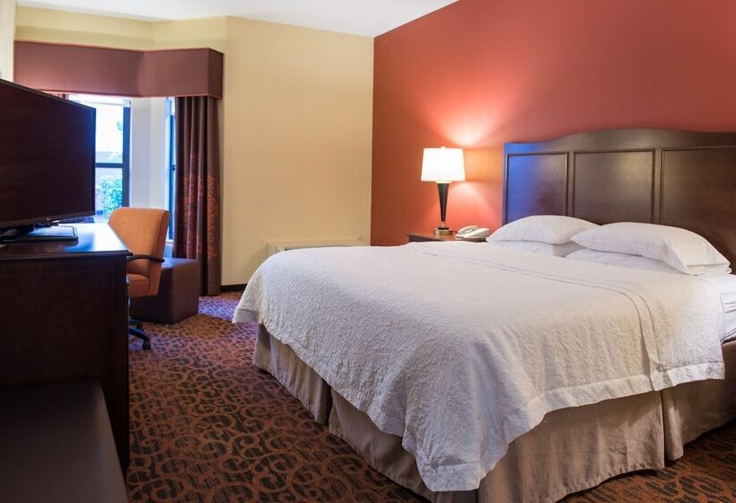 فندق Hampton Inn & Suites Tampanorth
