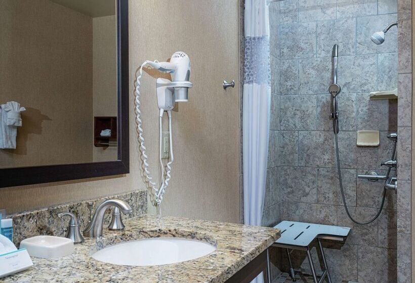 هتل Hampton Inn Tuscaloosa University