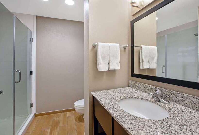 هتل La Quinta Inn & Suites By Wyndham Detroit Metro Airport
