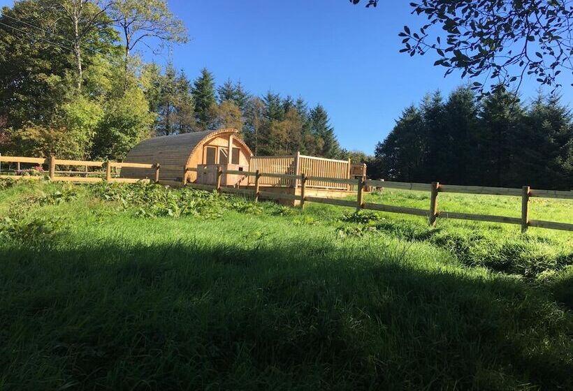 בית מלון כפרי Brynllwyd Glamping