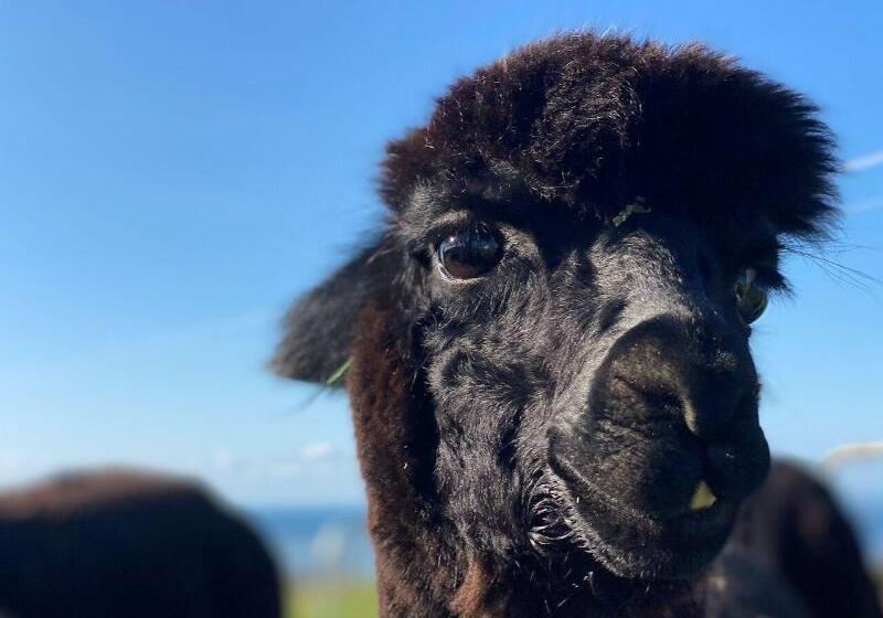 هتل Seacroft Estate