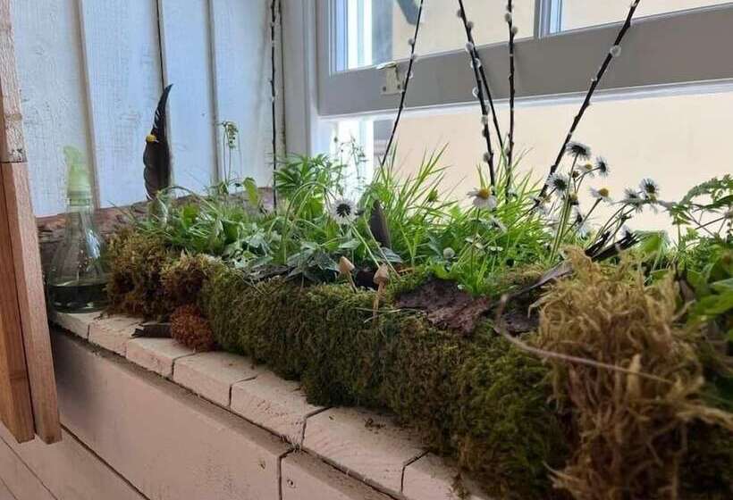 James  Place @ Pontmorlais