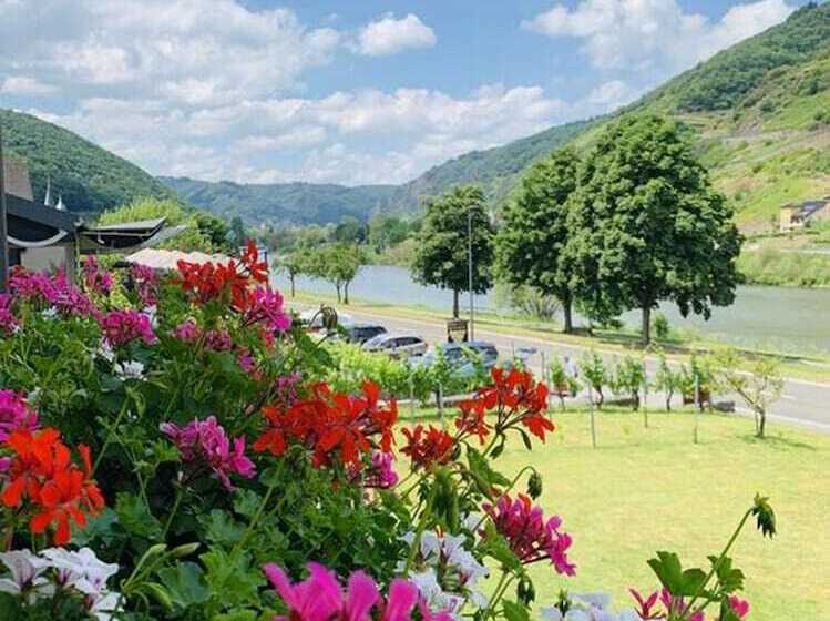 بنسيون Weinbergs Loge