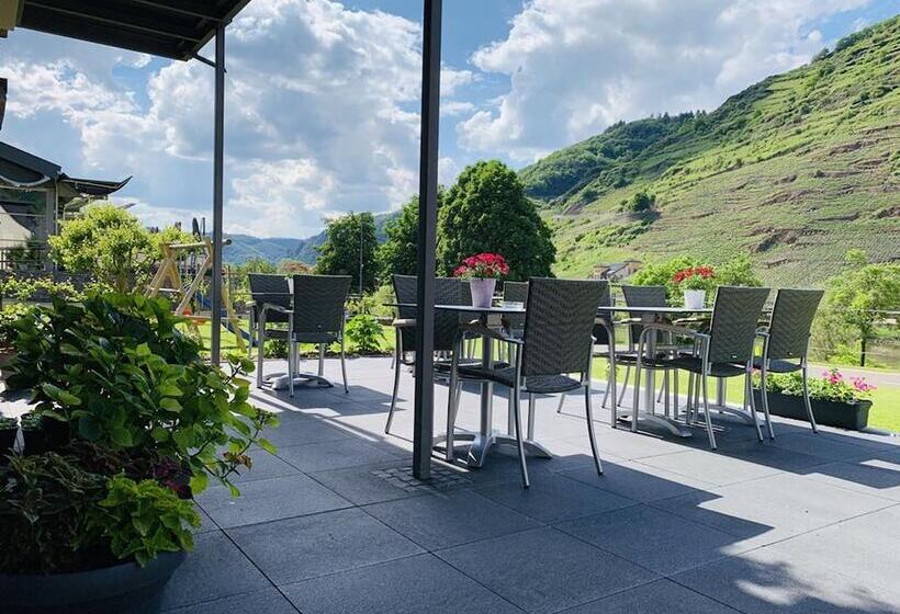 بنسيون Weinbergs Loge