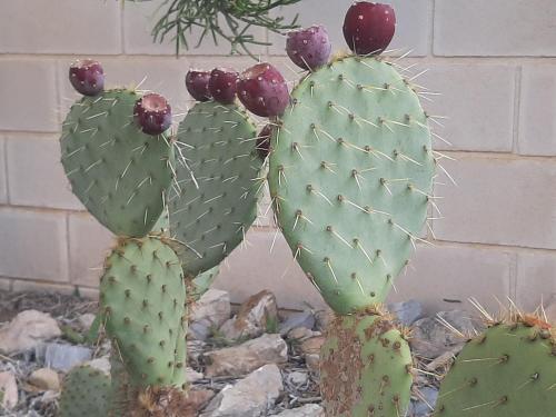 Lavinia Naturist Resort