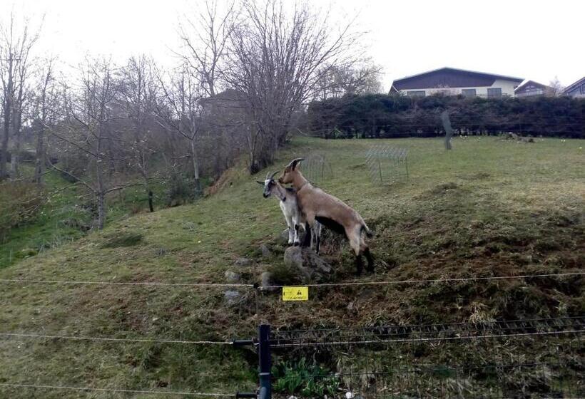 膳宿费 Bellavie   Maison D Hôtes