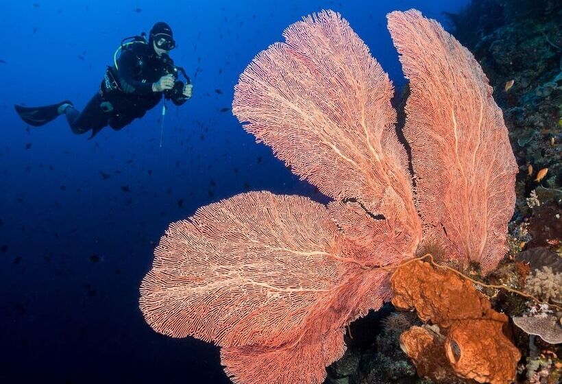 هتل Murex Dive Resort