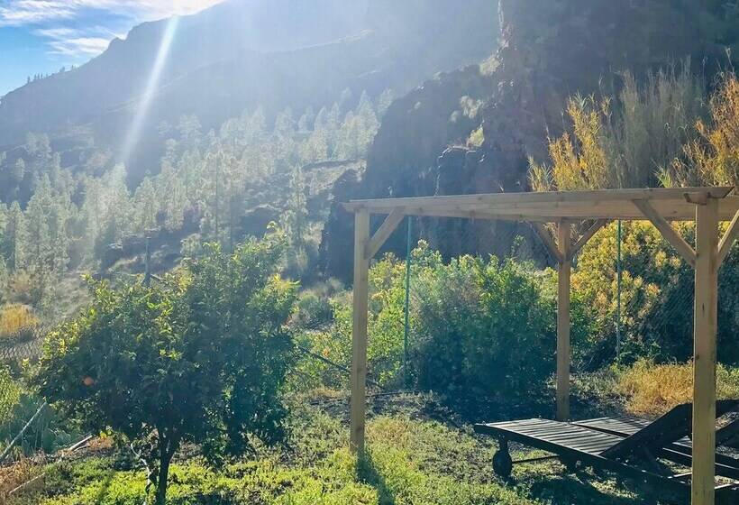 فندق ريفى Ecotara Canary Islands