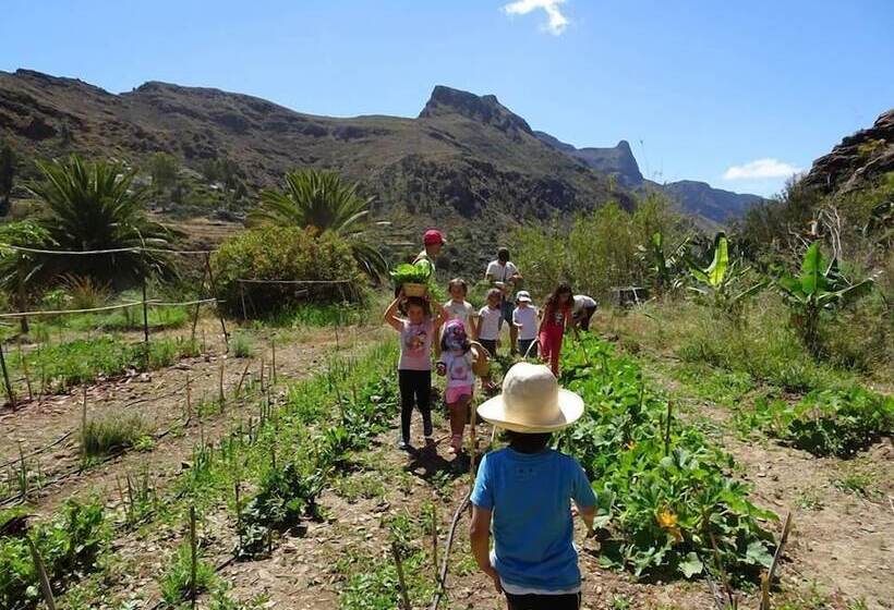 فندق ريفى Ecotara Canary Islands