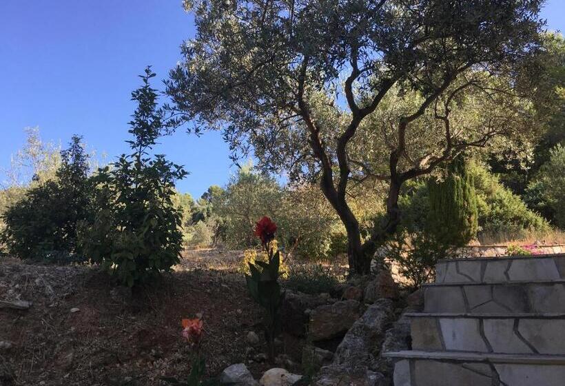 مبيت وإفطار Le Clos En Provence