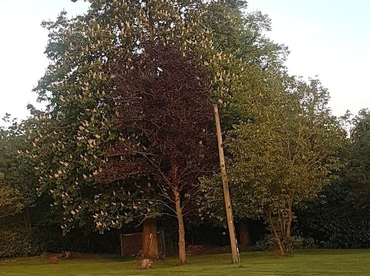 Spring Paddocks B&b
