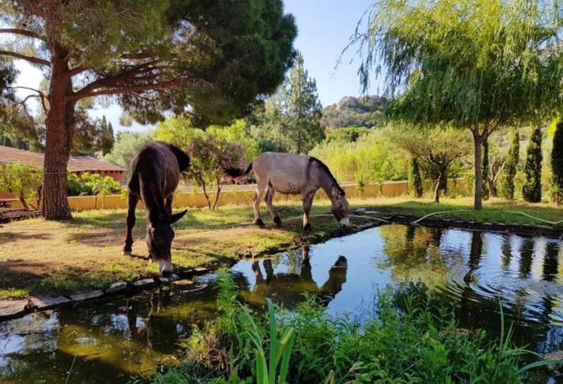 Maison De Vacances Enchantee A Calvi Avec Vue Sur Mer Et Montagne