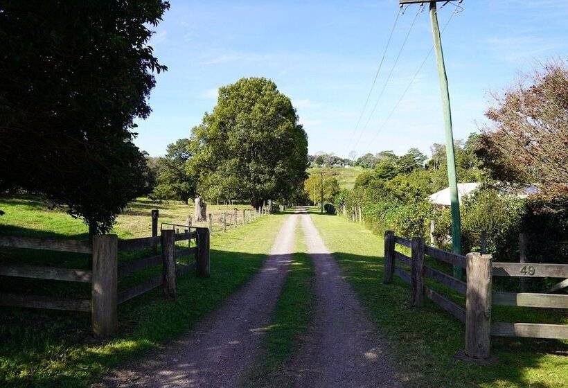 Mccarthy Grove