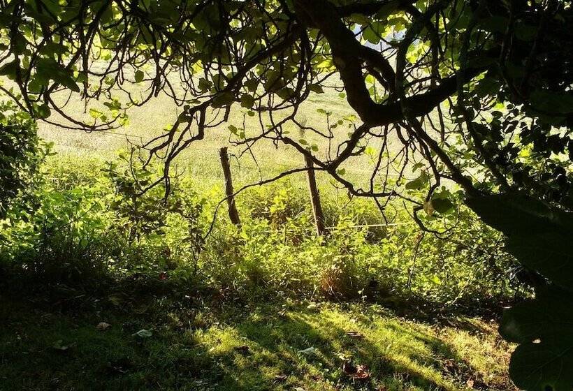 Apartamentos La Collada