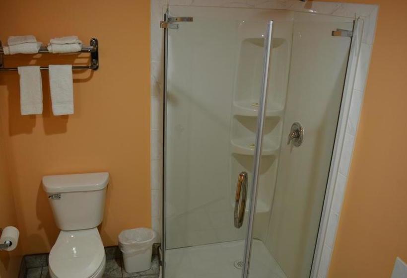 מוטל The Harmony House