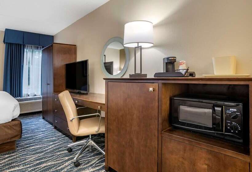 هتل Comfort Inn & Suites Newark  Wilmington