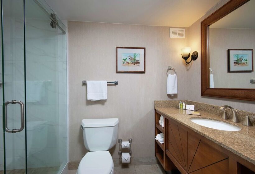 בית מלון כפרי Doubletree Beach Resort By Hilton Tampa Bay   North Redingto