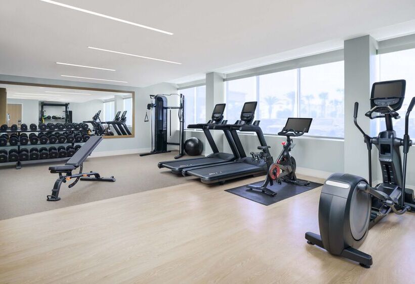בית מלון כפרי Doubletree Beach Resort By Hilton Tampa Bay   North Redingto