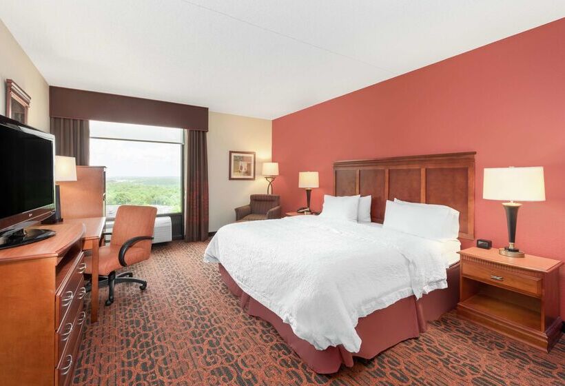 فندق Hampton Inn By Hilton Branson On The Strip