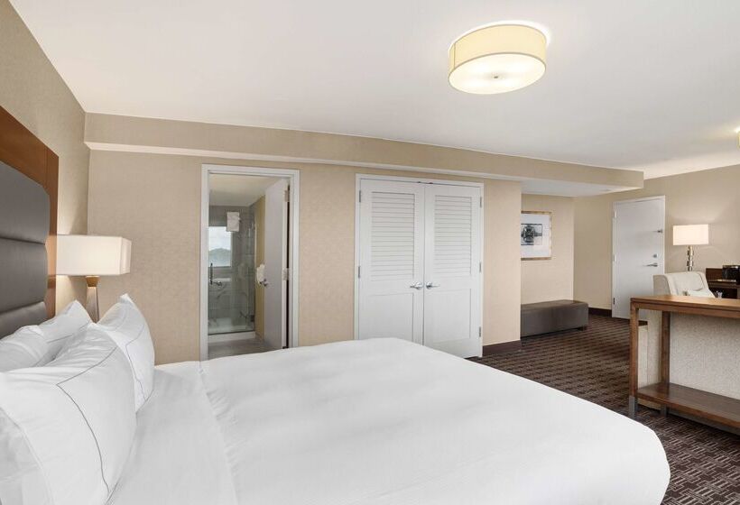 هتل Hilton Arlington National Landing