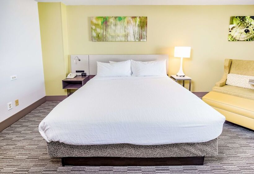 هتل Hilton Garden Inn Orange Beach Beachfront