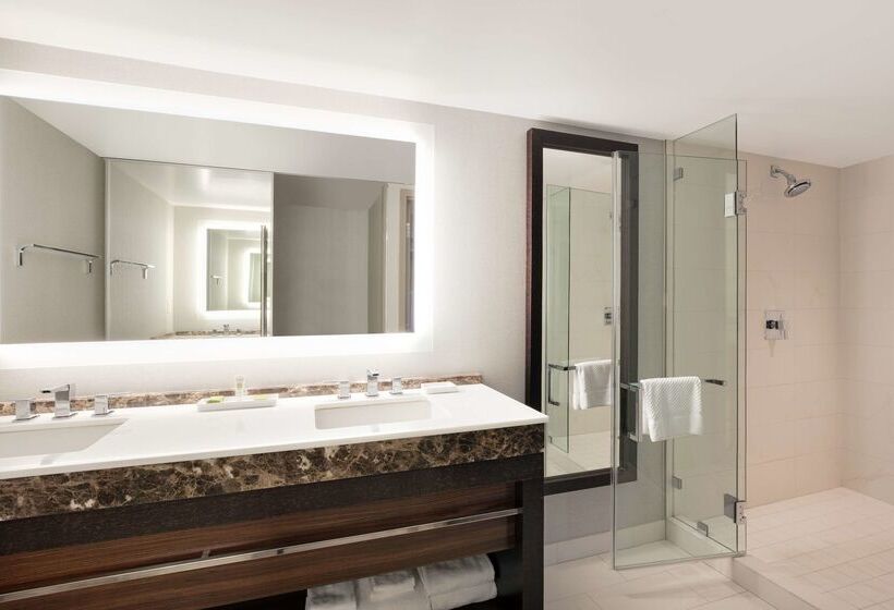 Отель Hilton Mclean Tysons Corner