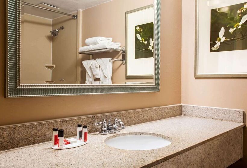 בית מלון כפרי Ramada By Wyndham Statesville