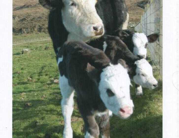 Immaculate 2 Bed House In Colbost